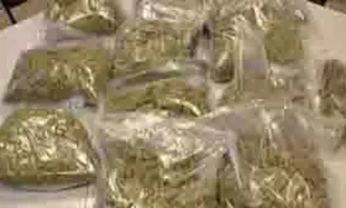 सागर:  पुलिस ने पकड़ा 100 किलो गांजा