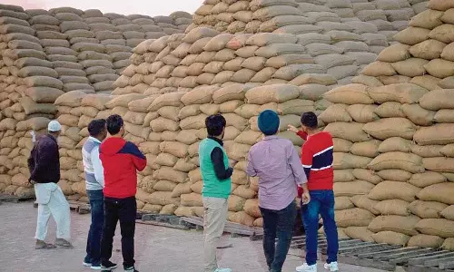 Haryana : दो मिलों में 1,900 क्विंटल धान गायब Haryana : दो मिलों में 1,900 क्विंटल धान गायब