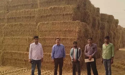 Haryana : फतेहाबाद जिले में खेतों में आग लगाने की घटनाओं में 78 प्रतिशत की कमी Haryana : फतेहाबाद जिले में खेतों में आग लगाने की घटनाओं में 78 प्रतिशत की कमी