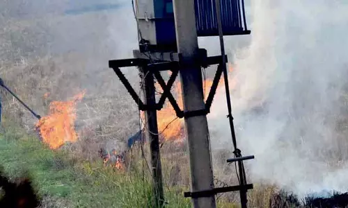 Punjab: खेतों में आग लगने की 77 घटनाएं, मृतकों की संख्या बढ़कर 10,682 हुई Punjab: खेतों में आग लगने की 77 घटनाएं, मृतकों की संख्या बढ़कर 10,682 हुई