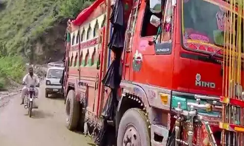 POJK के जंगल भ्रष्टाचार और अवैध कटाई का शिकार हो रहे
