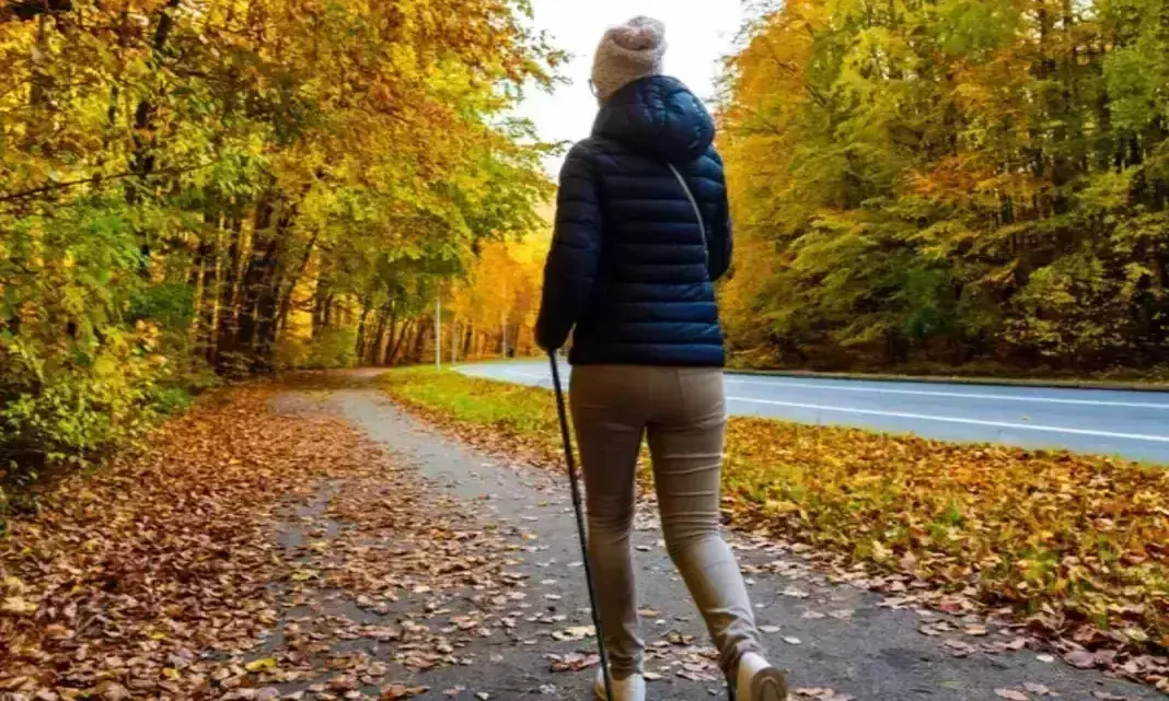 Lifestyle: रोज़ाना चलने से चुटकियों में दूर हो जाती हैं यह बीमारियां Lifestyle: रोज़ाना चलने से चुटकियों में दूर हो जाती हैं यह बीमारियां