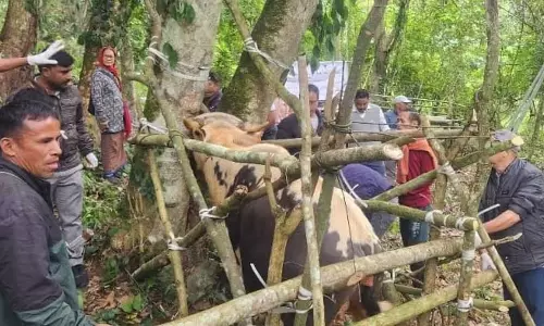 Arunachal : वैज्ञानिक मिथुन पालन पर पशु स्वास्थ्य जागरूकता शिविर आयोजित Arunachal : वैज्ञानिक मिथुन पालन पर पशु स्वास्थ्य जागरूकता शिविर आयोजित