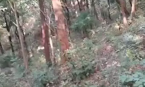 भंडारपदर मुठभेड़ का वीडियो, DRG जवानों को ऐसी मिली सफलता