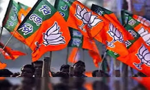 Maharashtra विधानसभा चुनाव नतीजों पर मुस्लिम वोटों का असर