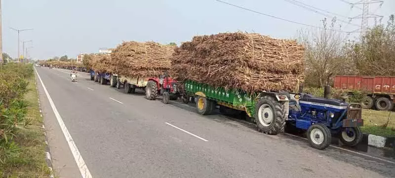 गन्ने का SAP 10 रुपये बढ़ा, किसानों को मिलेगा देश में सबसे ऊंचा भाव