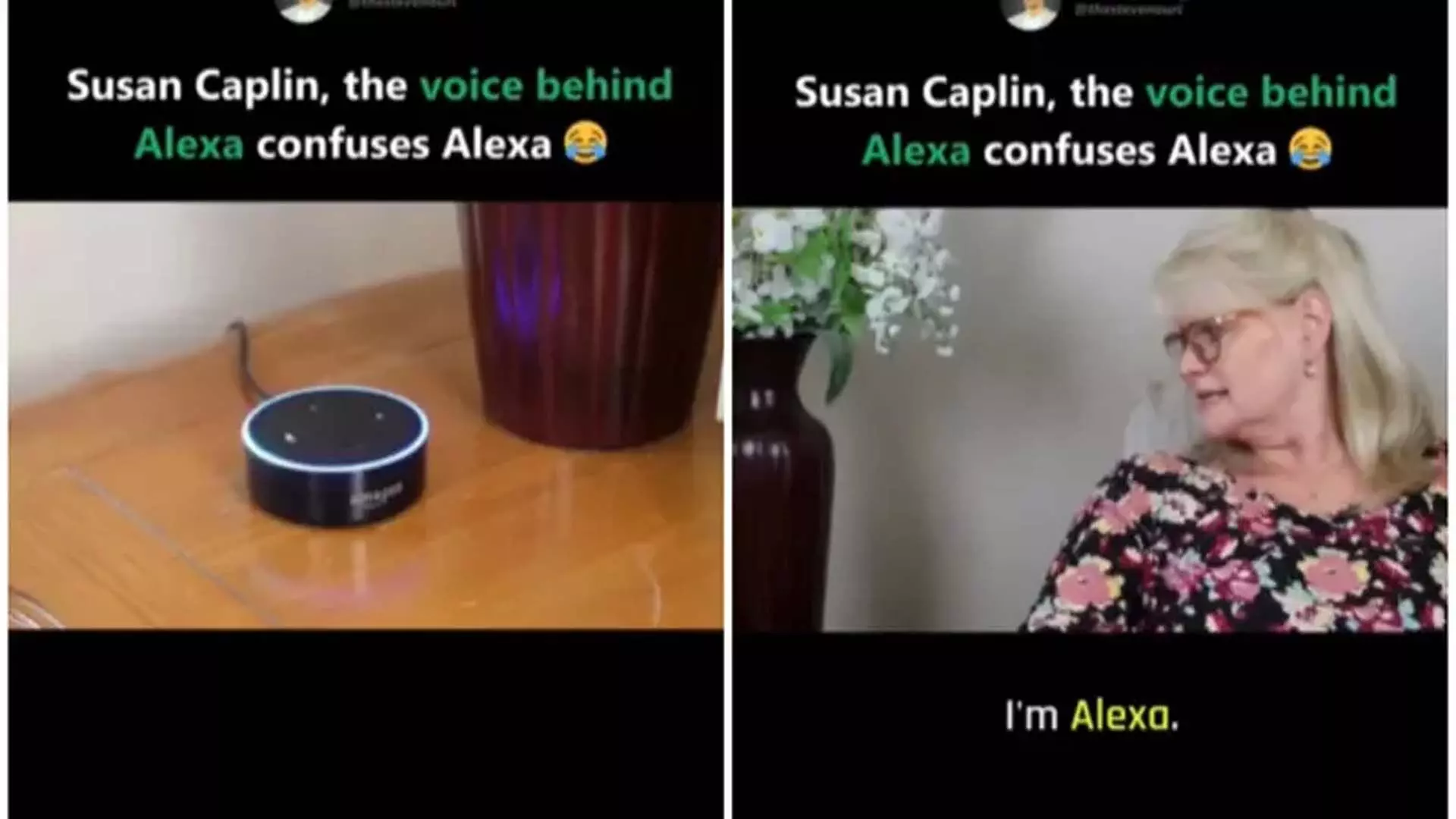 Alexa vs Alexa: वॉयस आर्टिस्ट ने एआई को किया कन्फ्यूज़, देखें वीडियो...