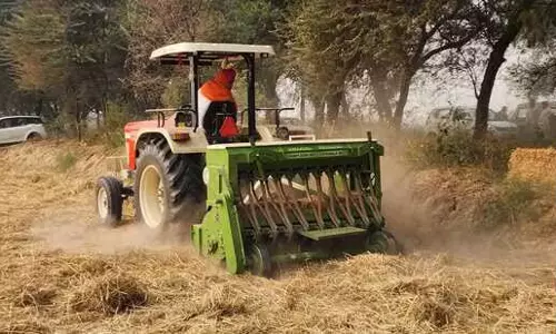 Punjab में गेहूं की बुआई का 87% लक्ष्य पूरा
