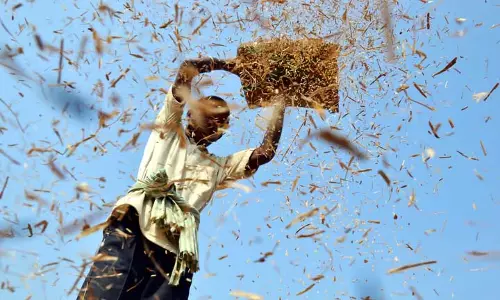 Bargarh के किसानों ने अनाज विश्लेषक मशीनों की सटीकता पर चिंता जताई