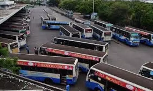 कार्तिगई दीपम महोत्सव के लिए 1,000 विशेष बसें