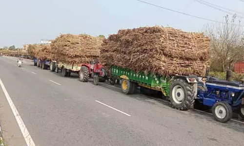 गन्ने का SAP 10 रुपये बढ़ा, किसानों को मिलेगा देश में सबसे ऊंचा भाव