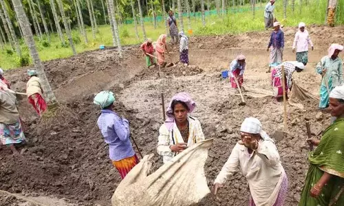 Kerala : मनरेगा योजना के तहत अनुबंध और दैनिक वेतन भोगी श्रमिकों के लिए Kerala : मनरेगा योजना के तहत अनुबंध और दैनिक वेतन भोगी श्रमिकों के लिए
