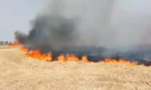 Punjab: खेतों में आग लगने की 67 नई घटनाएं, संख्या 10,749 तक पहुंची Punjab: खेतों में आग लगने की 67 नई घटनाएं, संख्या 10,749 तक पहुंची