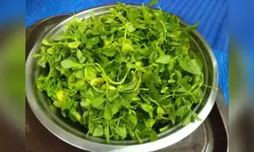कड़वी मेथी खाने का स्वाद बिगाड़ देती