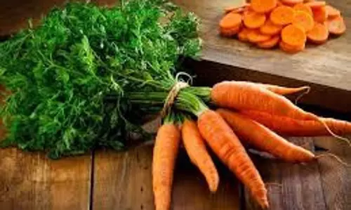 अगर ये पांच लोग गलती भी करें तो इन्हें गाजर नहीं खानी चाहिए