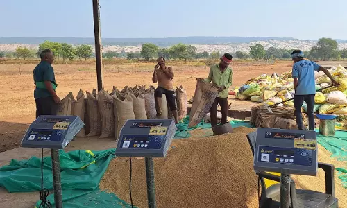 धान खरीदी के लिए पर्याप्त मात्रा में उपलब्ध है बारदाना : खाद्य अधिकारी चितरंजन सिंह