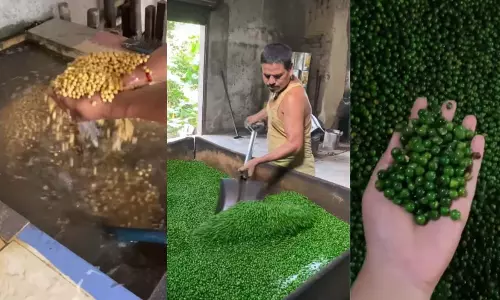 मटर में रंग मिलाने का वीडियो हुआ वायरल, लोगों के उड़े होश😲 मटर में रंग मिलाने का वीडियो हुआ वायरल, लोगों के उड़े होश😲