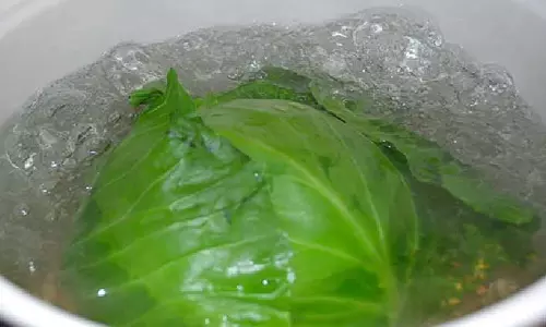 Cabbage का पानी पीने के स्वास्थ्य लाभ Cabbage का पानी पीने के स्वास्थ्य लाभ