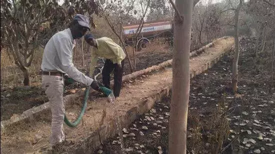 Pune के वारजे क्षेत्र में आग से लगभग एक हेक्टेयर शहरी जंगल नष्ट हो गया