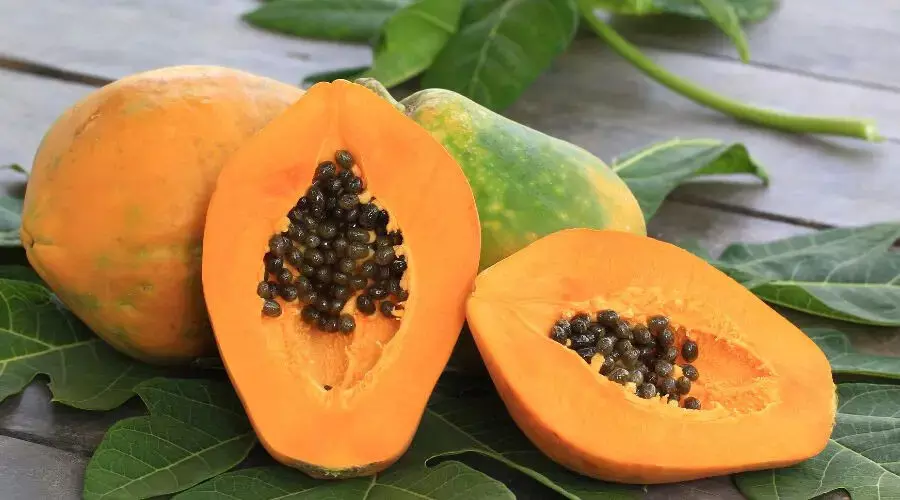 Benefits of Papaya : पपीते को नाश्ते में करें शामिल, बेहतर स्वास्थ्य के साथ त्वचा में आएगा निखार