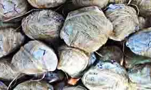 MP News: दो गुटों में मारपीट, एक पक्ष ने दूसरे पक्ष के घर में फेंका देशी बम