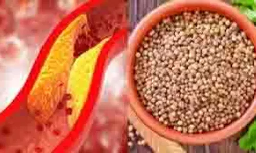 Health: नसों में जमा गंदे कोलेस्ट्रॉल को छानकर बाहर फेंक देता है ये छोटा सा बीज Health: नसों में जमा गंदे कोलेस्ट्रॉल को छानकर बाहर फेंक देता है ये छोटा सा बीज