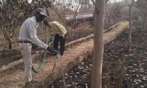 Pune के वारजे क्षेत्र में आग से लगभग एक हेक्टेयर शहरी जंगल नष्ट हो गया Pune के वारजे क्षेत्र में आग से लगभग एक हेक्टेयर शहरी जंगल नष्ट हो गया