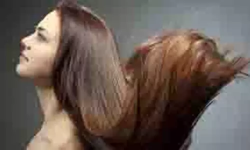 Hair Care: घर पर बनाएं शैम्पू, बाल बनेंगे स्वस्थ Hair Care: घर पर बनाएं शैम्पू, बाल बनेंगे स्वस्थ