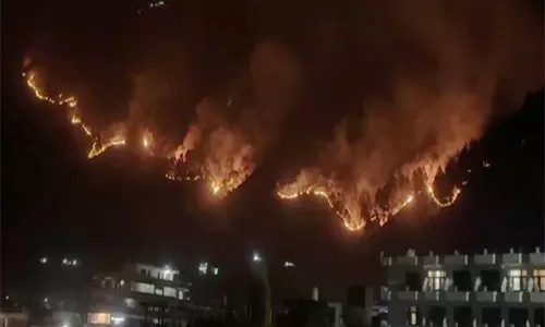 Himachal: कुल्लू की बड़ा भुईन पंचायत के जंगल में लगी आग