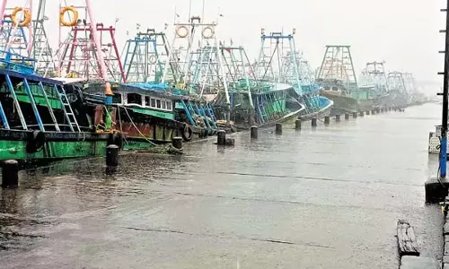 Tamil Nadu सामान्य जनजीवन प्रभावित, अधिक बारिश से डेल्टा क्षेत्र के किसान चिंतित