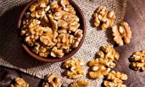 Brain food जो तेज़ कर सकता है याददाश्त