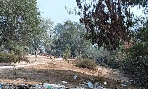 Haryana : सिरसा शहर के पार्कों के लिए नगर निगम ने नई रखरखाव योजना तैयार की