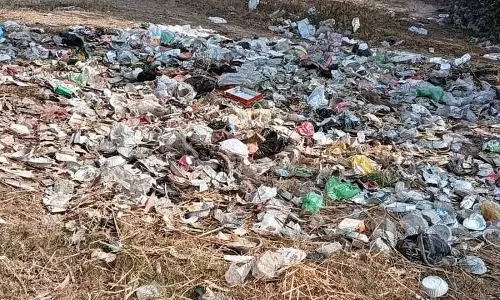 Haryana :  सिरसा शहर के पार्कों के लिए नगर निगम ने नई रखरखाव योजना तैयार की