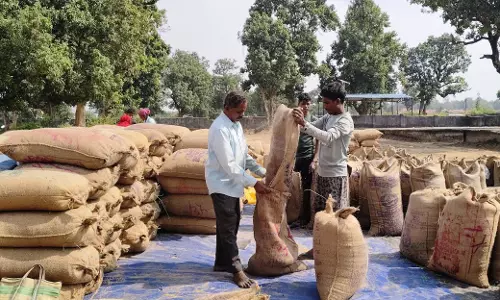 किसान विश्वनाथ धान बेचकर चुकाएंगे अपना कर्ज