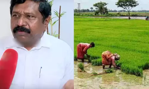 डेल्टा एक संरक्षित कृषि क्षेत्र: मयिलादुथुराई सांसद सुधा