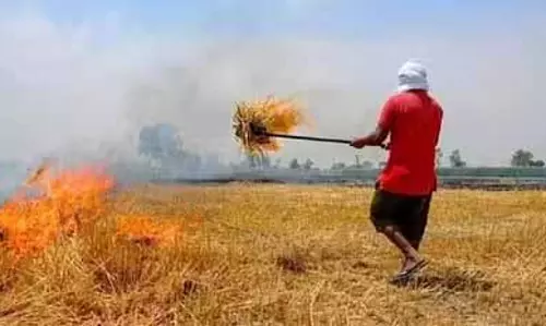 Muktsar में पराली जलाने की घटनाएं 50 फीसदी कम