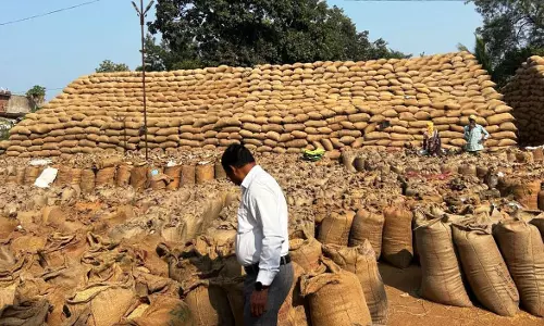 अवैध धान परिवहन और भण्डारण पर सतत कार्रवाई जारी