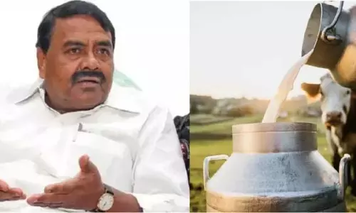 दूध उत्पादन चरम पर: कर्मचारियों को बोनस और प्रोत्साहन, राजकन्नप्पन का ऐलान