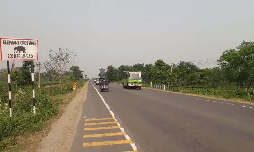 Siliguri: मानव-पशु संघर्ष को रोकने के लिए हाथी क्षेत्रों में सुरक्षा चौकसी बढ़ाई गई