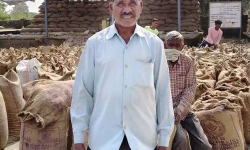 किसानों को मिल रहा मेहनत का फल, सरकार की व्यवस्था हो रही सफल