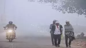 Weather :  यूपी के 20 जिलों में घना कोहरा, मौसम विभाग ने जारी की चेतावनी