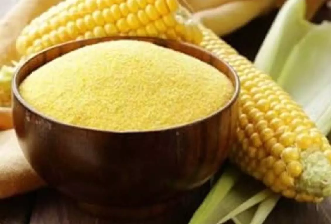 Corn Flour: सरकार के दो साल पर लांच होगा मक्की का आटा