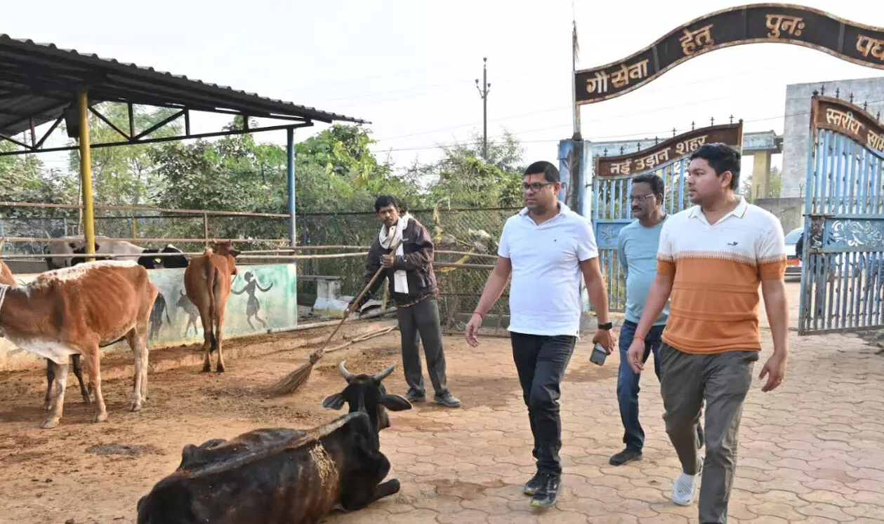 कोसानगर कांजी हाउस का औचक निरीक्षण करने पहुंचे निगम आयुक्त