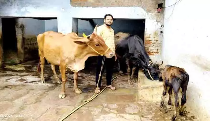 गौपालन से एक लाख 30 हजार रुपये की आय अर्जित की