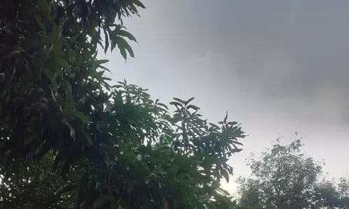 मैनपाट में सबसे ज्यादा ठंड
