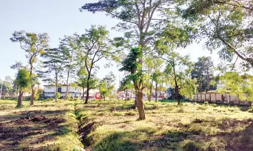 Assam : डिब्रूगढ़ के नागरिकों ने सीएम सरमा से शहर की हरियाली संरक्षण के लिए कार्रवाई