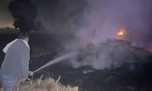 Haryana : सिरसा में पराली जलाने पर रोक लगाने के लिए