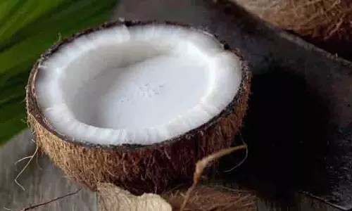 Hair Care:  बालों की समस्याओं का रामबाण इलाज है एलोवेरा, इसमें मिलाकर लगाएं ये चीजें