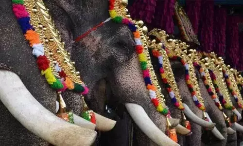 Kerala हाईकोर्ट ने देवस्वोम को कानून के शासन की याद दिलाई