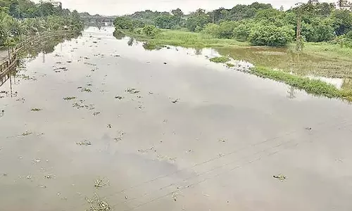 Telangana सरकार को राहत, हाईकोर्ट ने मुसी परियोजना को हरी झंडी दी Telangana सरकार को राहत, हाईकोर्ट ने मुसी परियोजना को हरी झंडी दी
